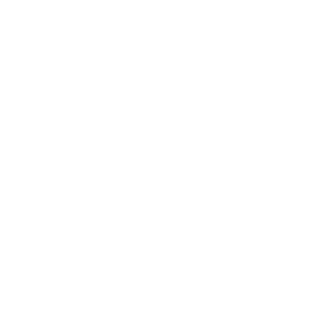VELO Logo