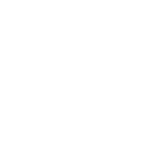 FlavourArt Logo
