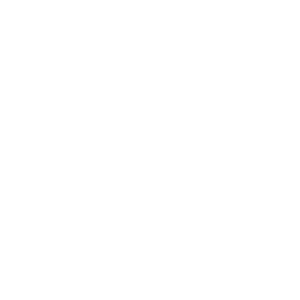 KIWI Logo